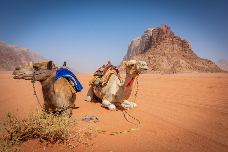 63 Wadi Rum.jpg